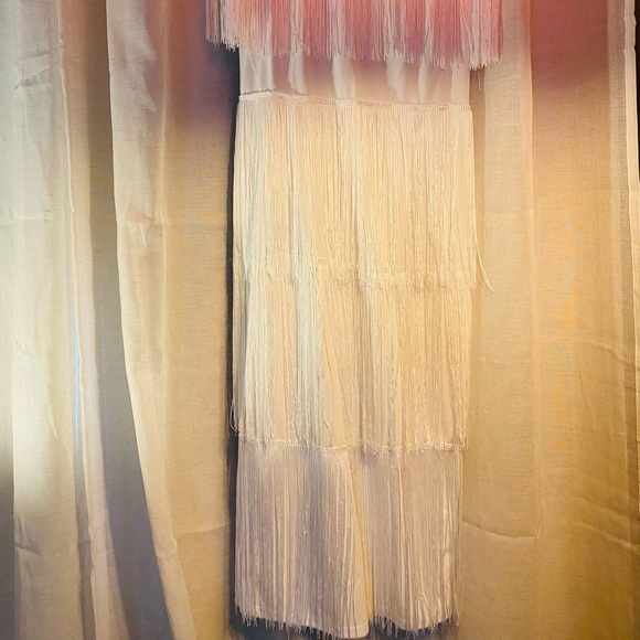 Fringe Dresses - Picture 2 of 2